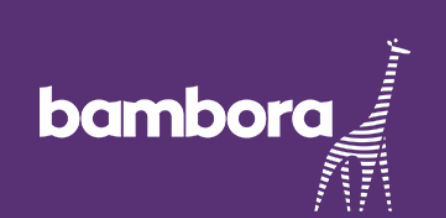 Brisk Invoicing Accepts Bambora